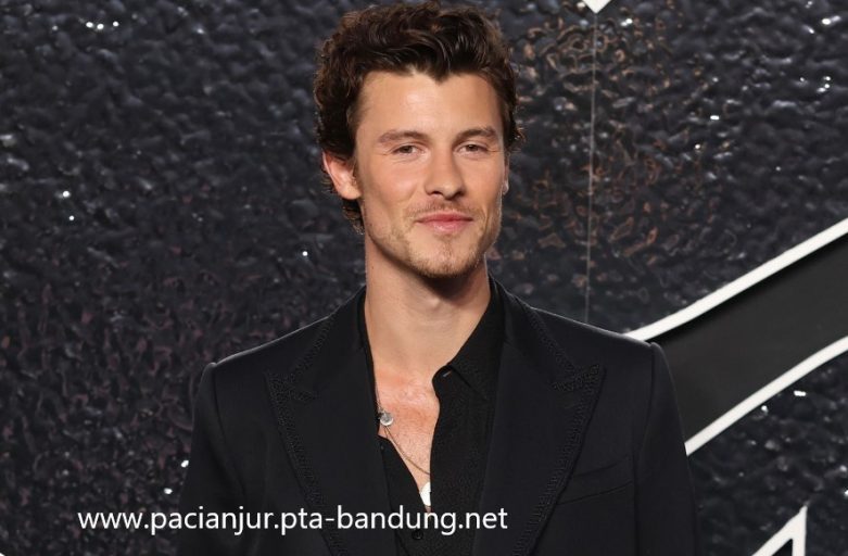 Selebgram Shawn Mendes: Melodi Hati & Nada Kehidupan